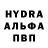 Amphetamine Розовый Musical Hotel
