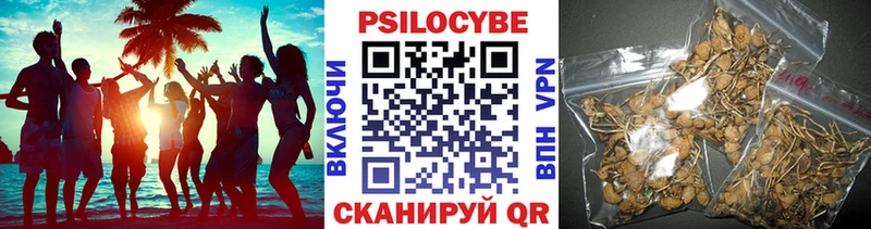 Галлюциногенные грибы MAGIC MUSHROOMS Кемь